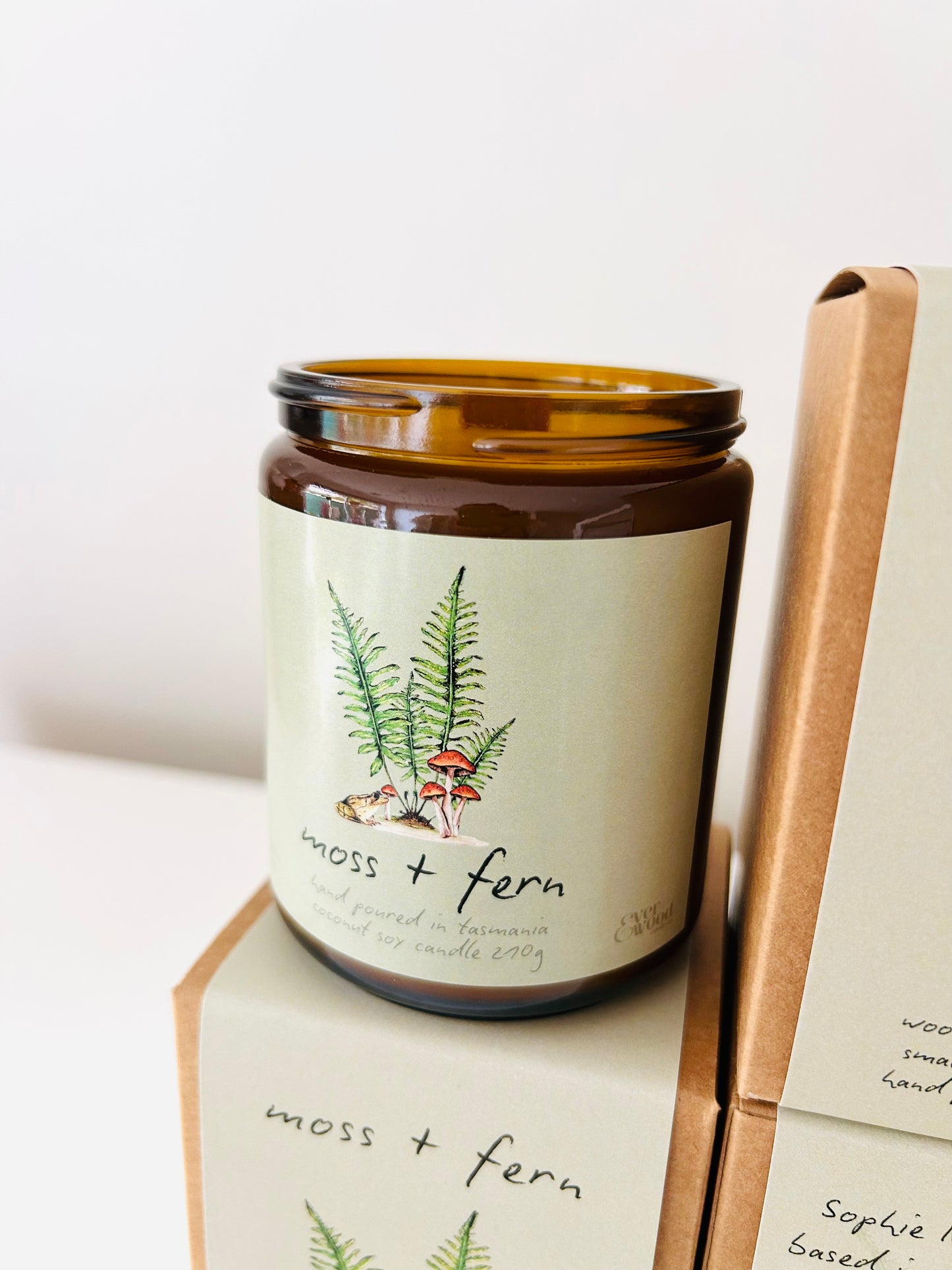 Candle - Moss & Fern