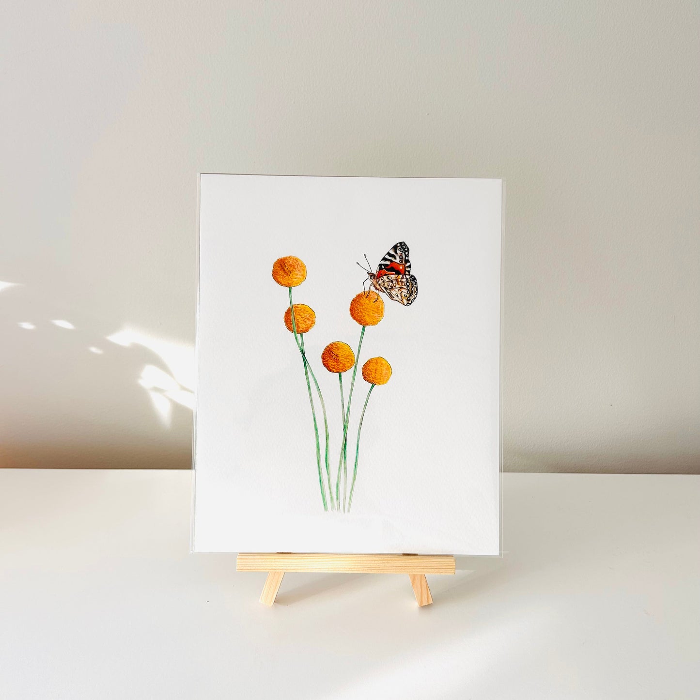 Art Print - Billy Buttons