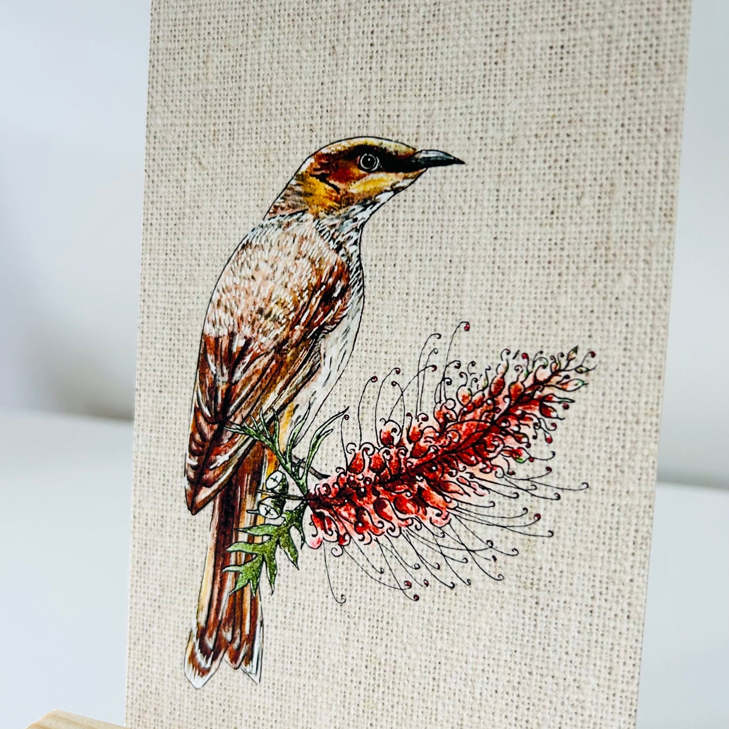 Art Print - Native Series - Wattlebird