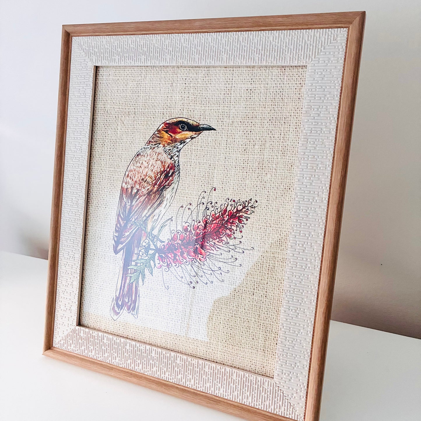 Framed Art Print - Native Series - Wattlebird