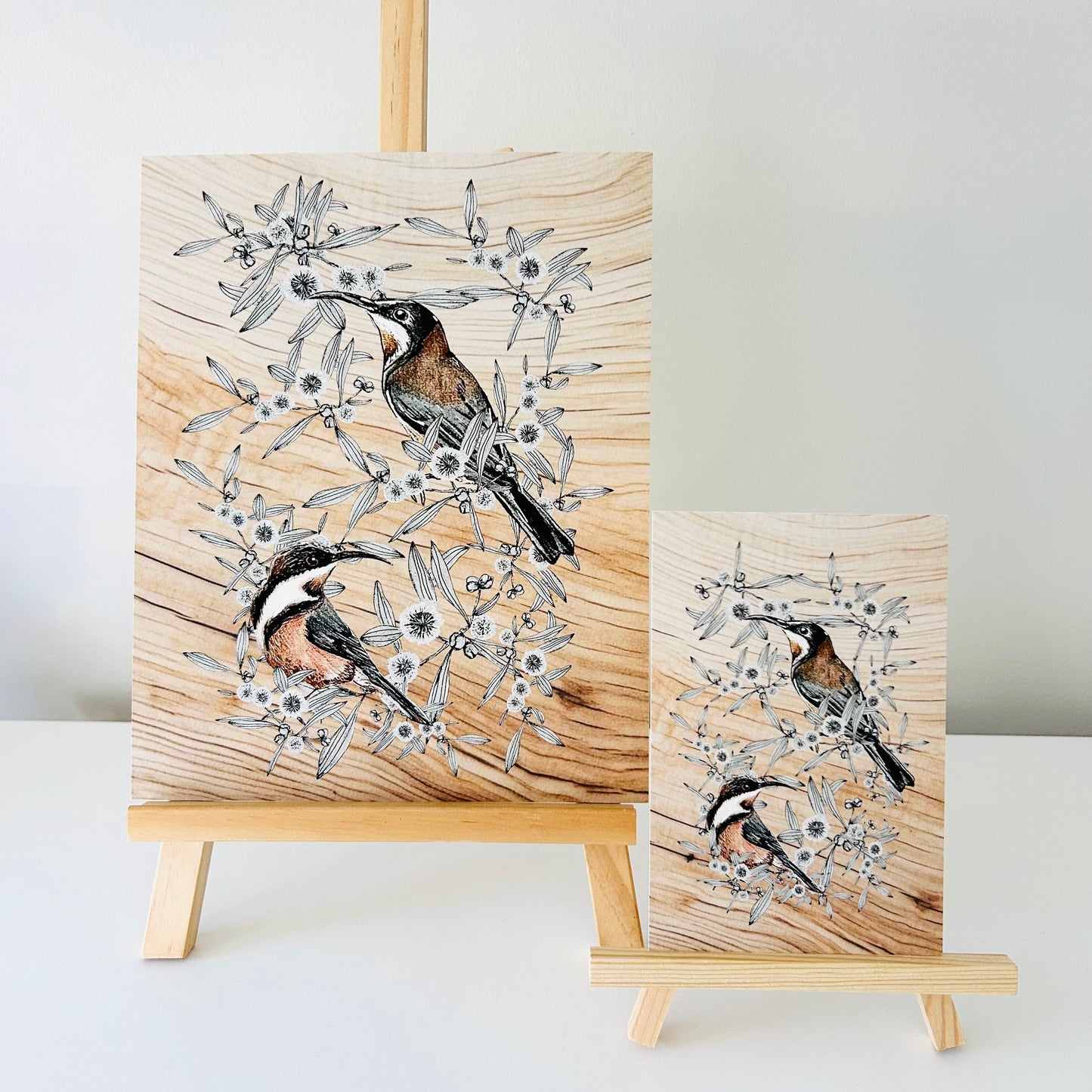 Art Print - Eastern Spinebill