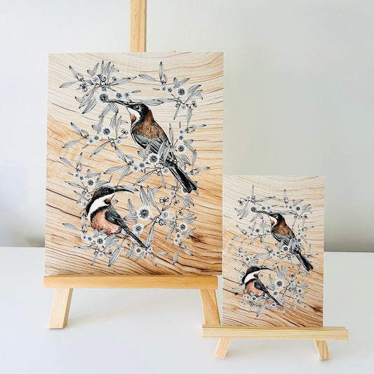 Art Print - Eastern Spinebill