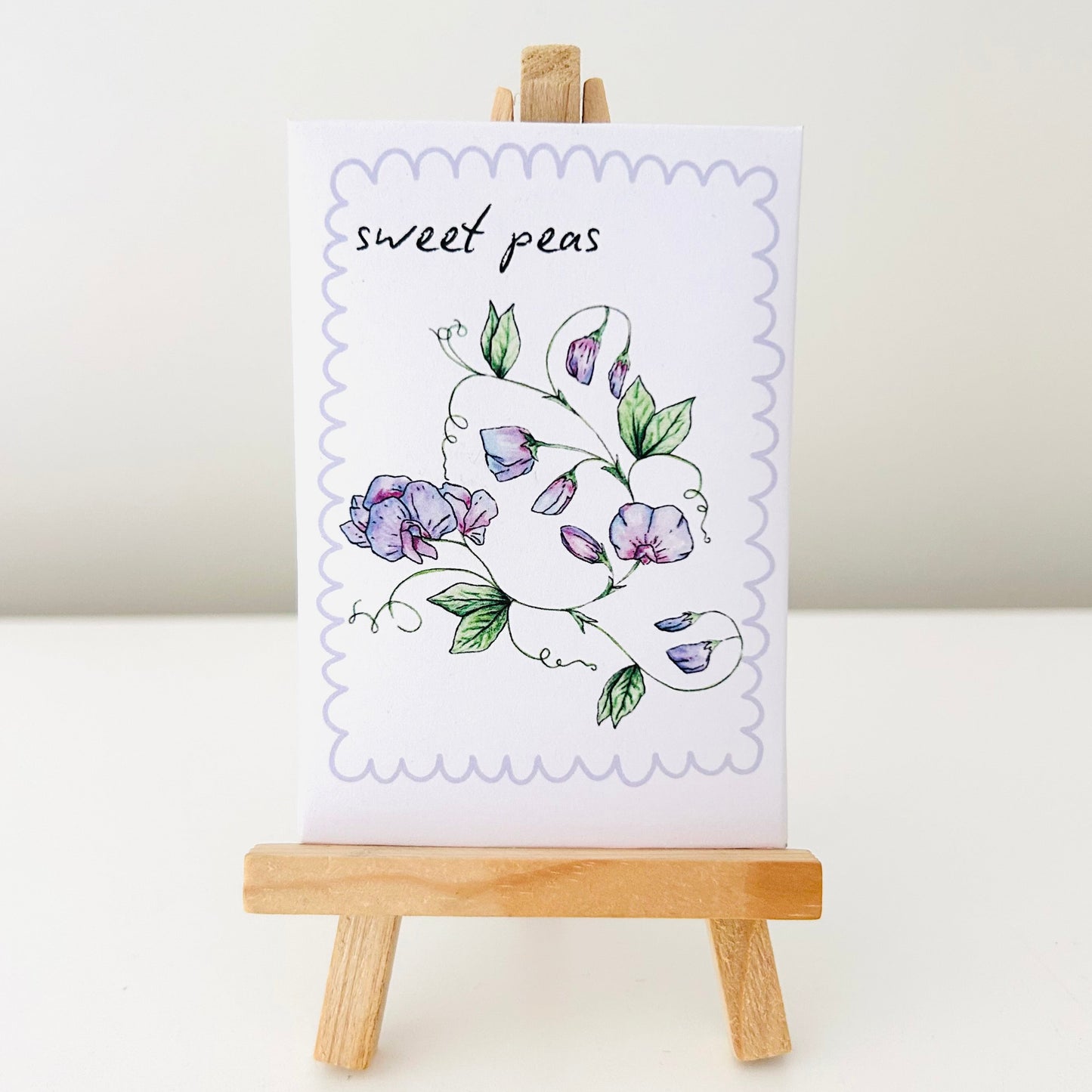 Seeds - Sweet Pea