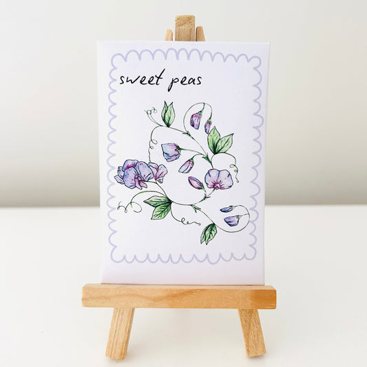 Seeds - Sweet Pea