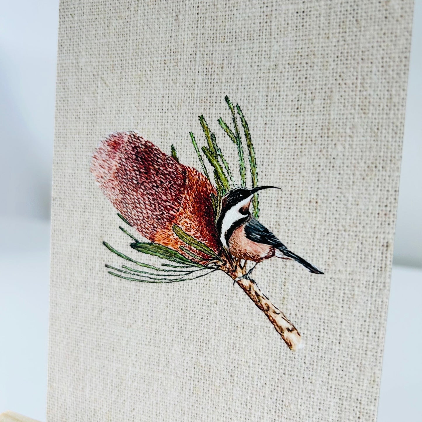 Art Print - Native Series - Eastern Spinebill