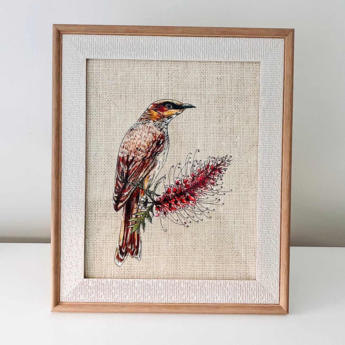Framed Art Print - Native Series - Wattlebird