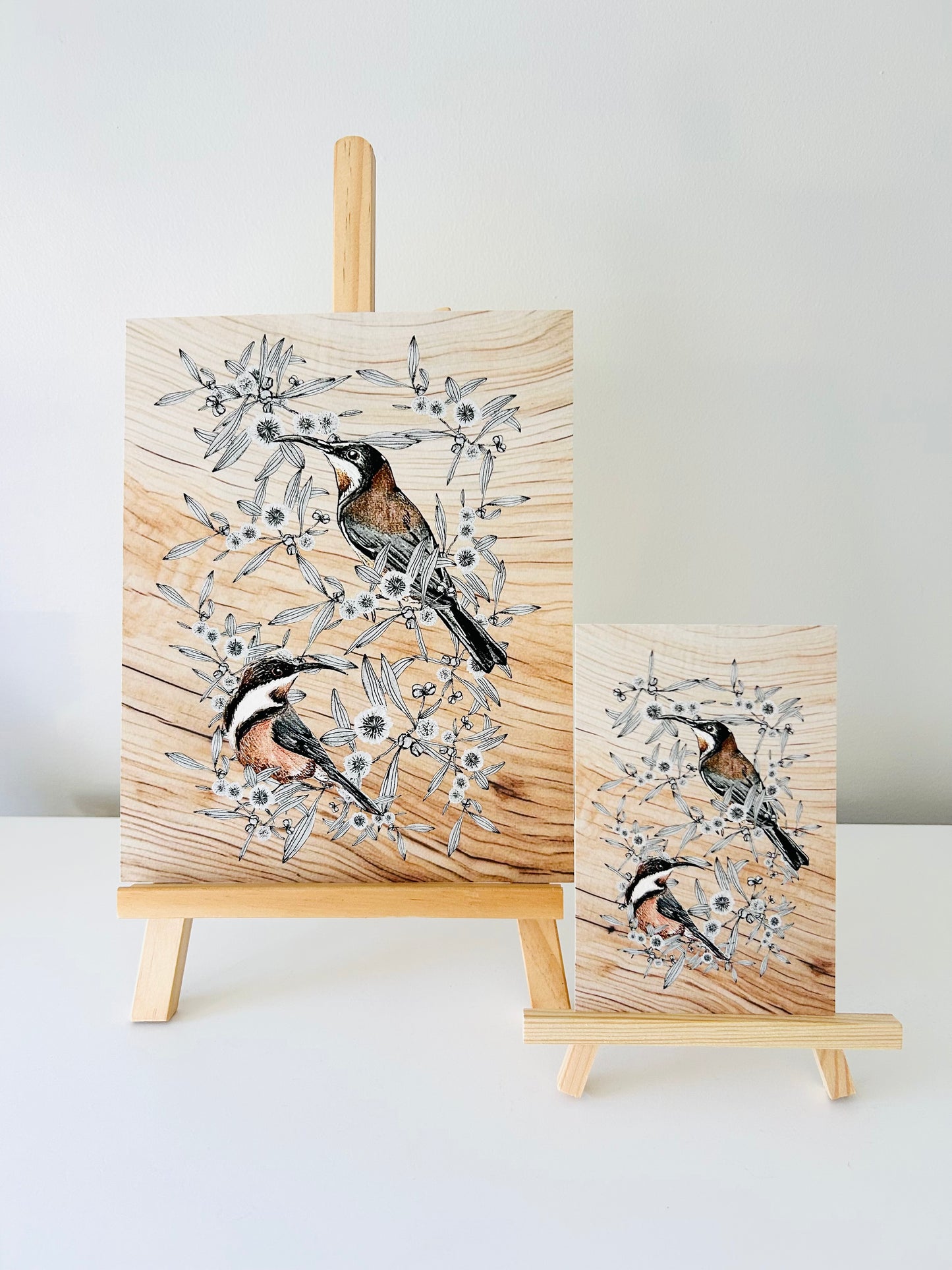 Art Print - Eastern Spinebill
