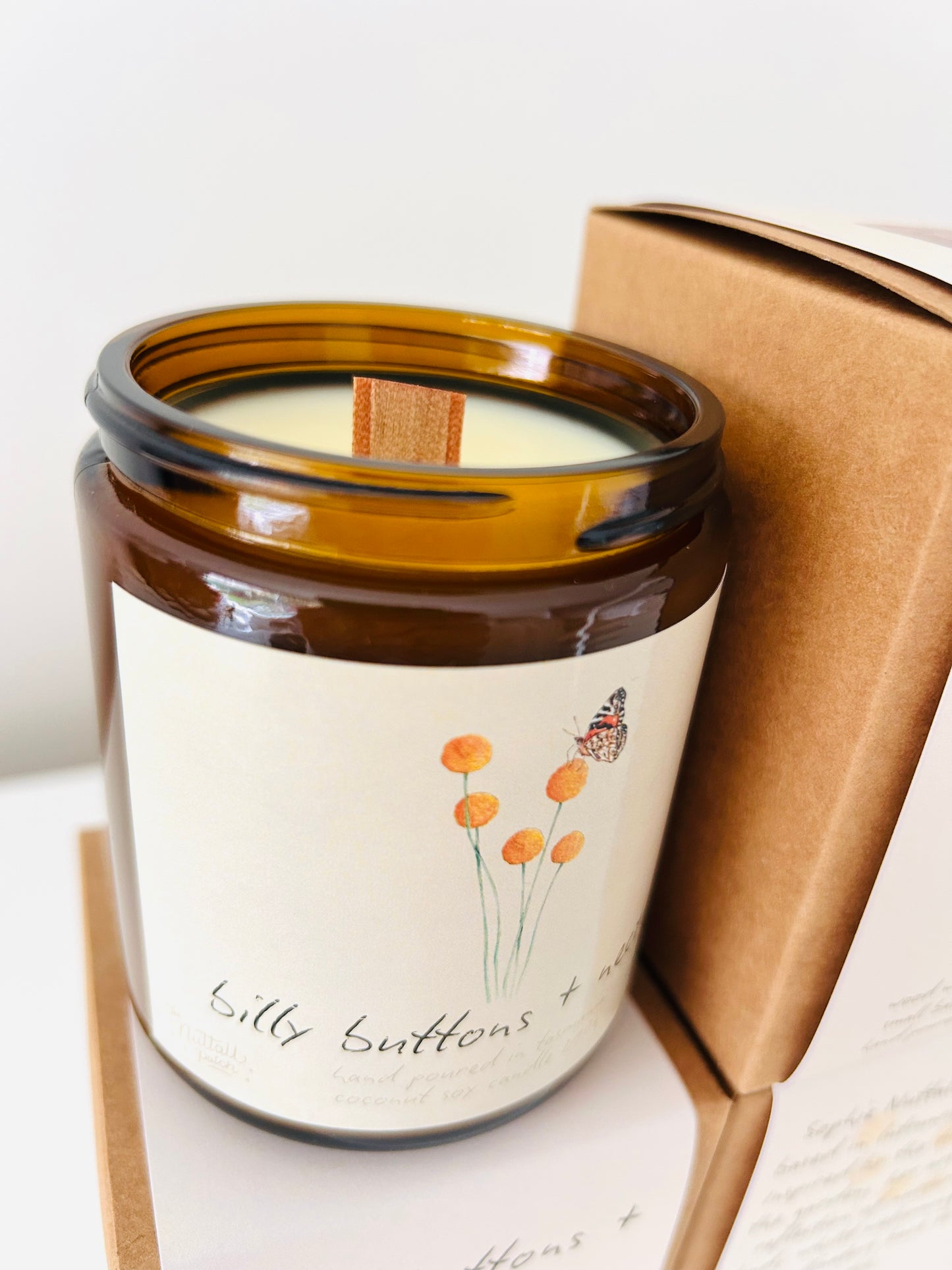 Candle - Billy Buttons & Nectar