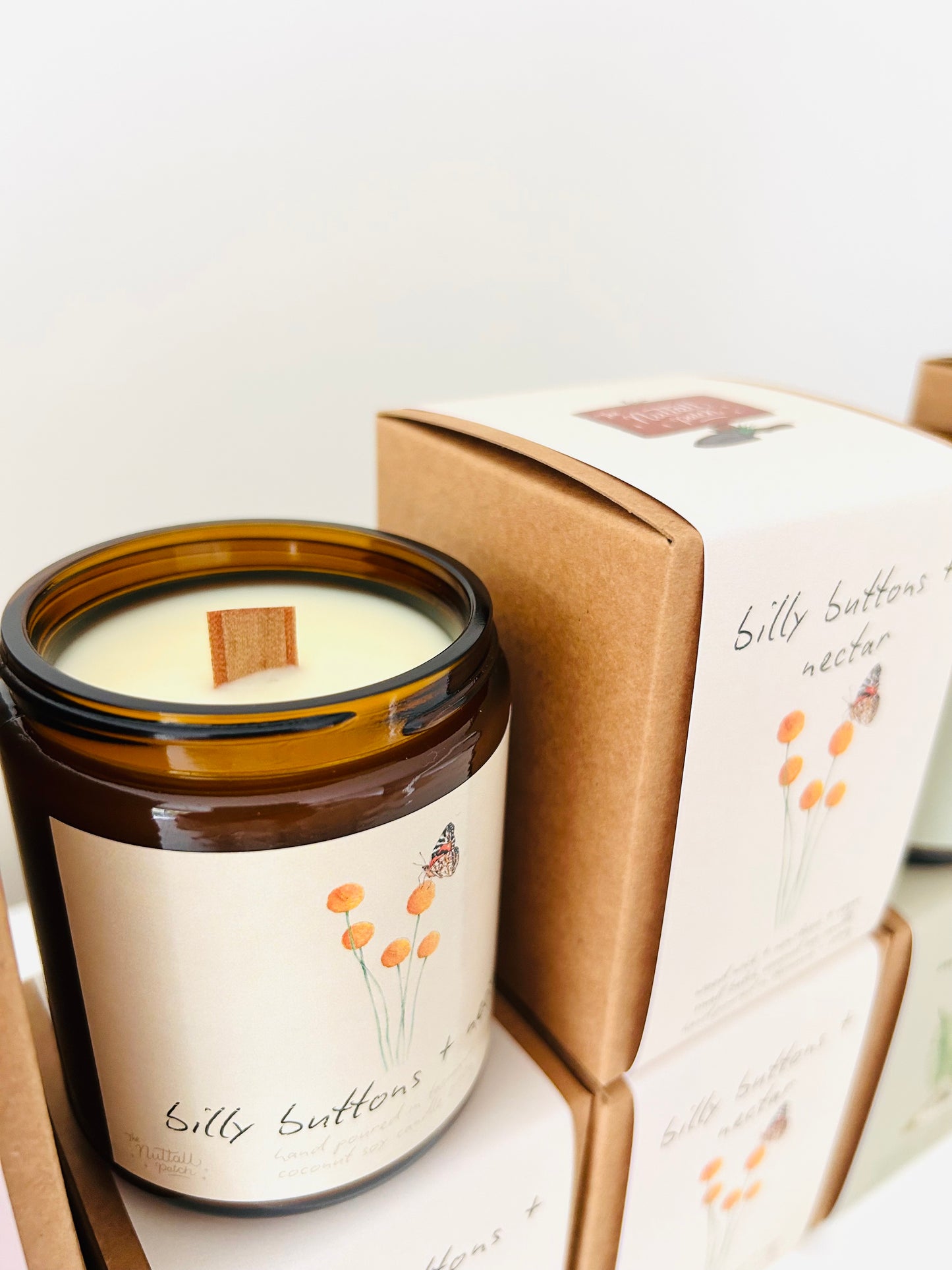 Candle - Billy Buttons & Nectar