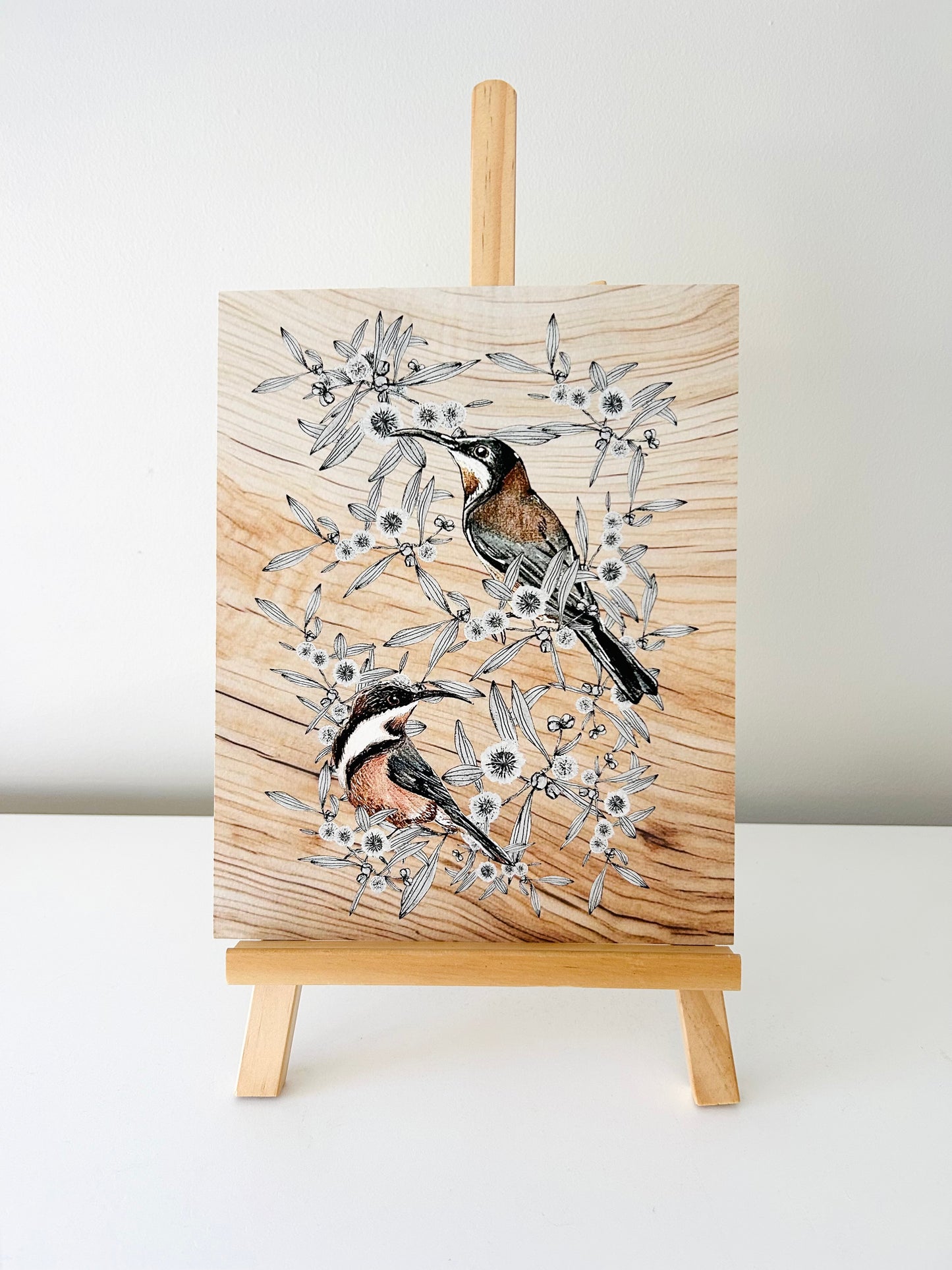 Art Print - Eastern Spinebill