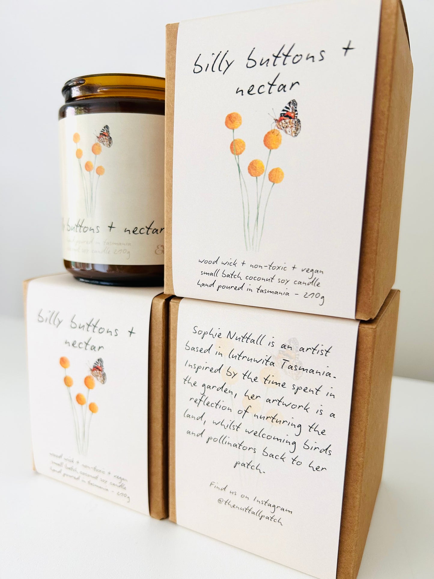 Candle - Billy Buttons & Nectar