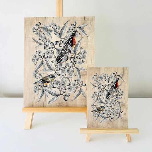 Art Print - Spotted Pardalote
