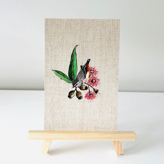 Art Print - Native Series - Spotted Pardalote