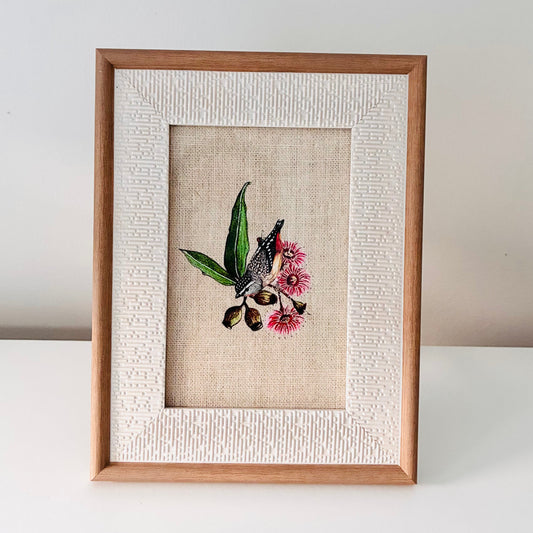 Framed Art Print - Native Series - Spotted Pardalote
