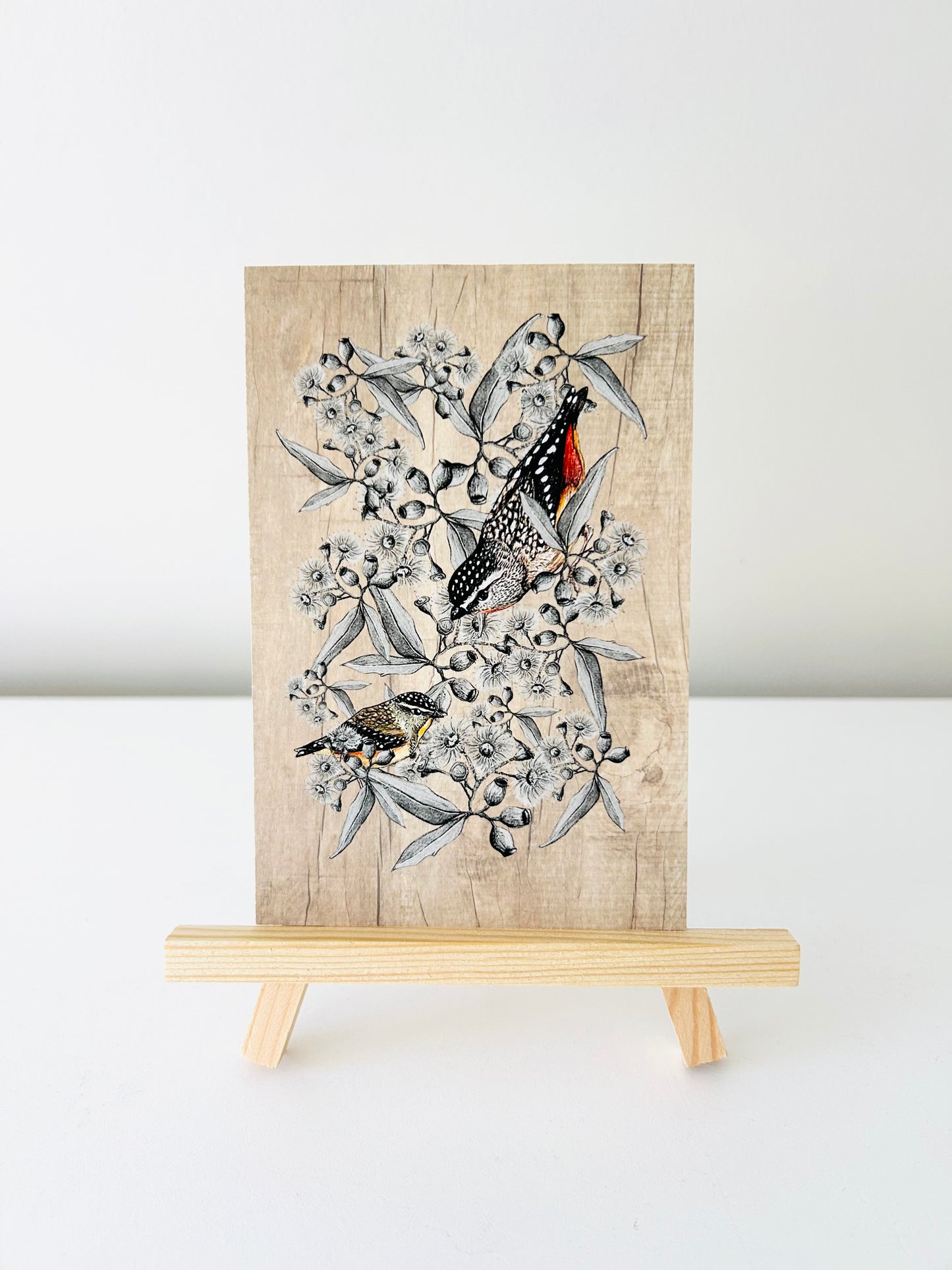 Art Print - Spotted Pardalote