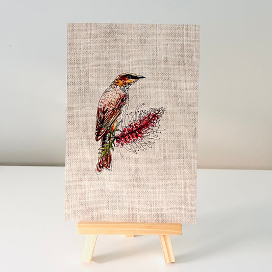 Art Print - Native Series - Wattlebird