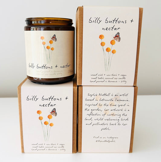 Candle - Billy Buttons & Nectar