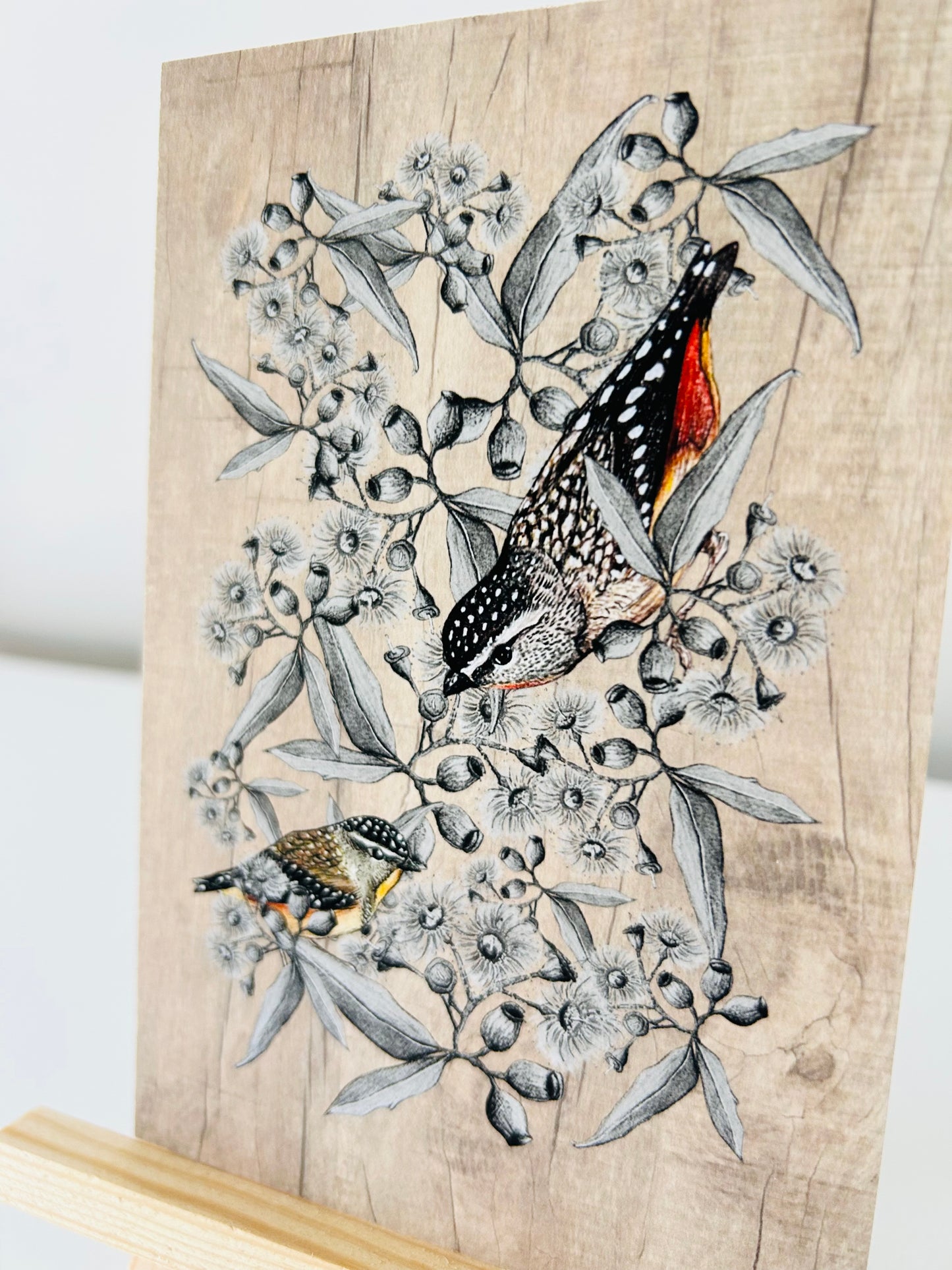 Art Print - Spotted Pardalote