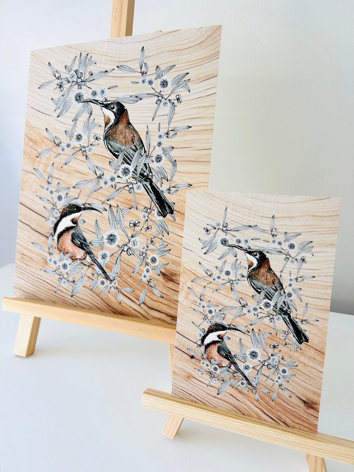 Art Print - Eastern Spinebill