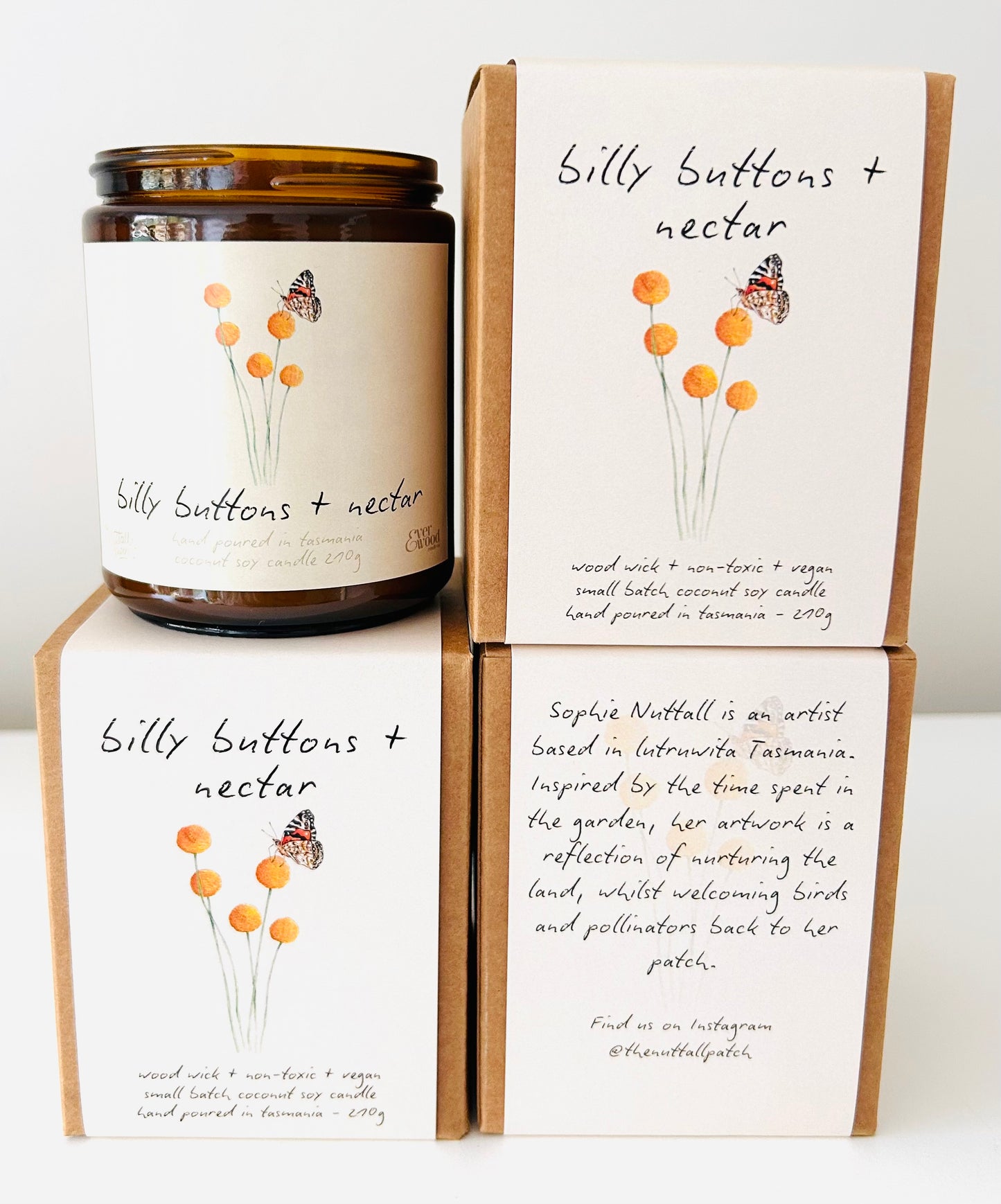 Candle - Billy Buttons & Nectar