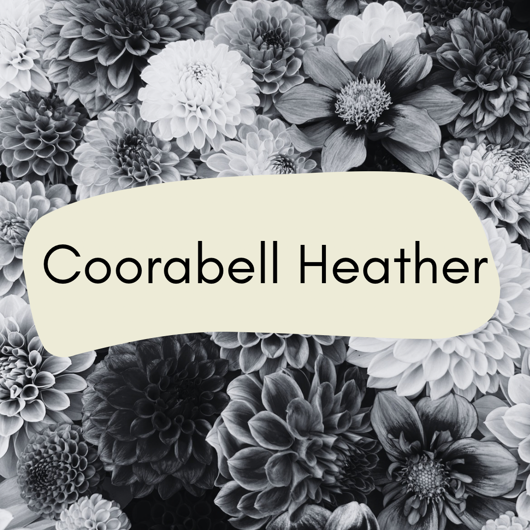 Coorabell Heather