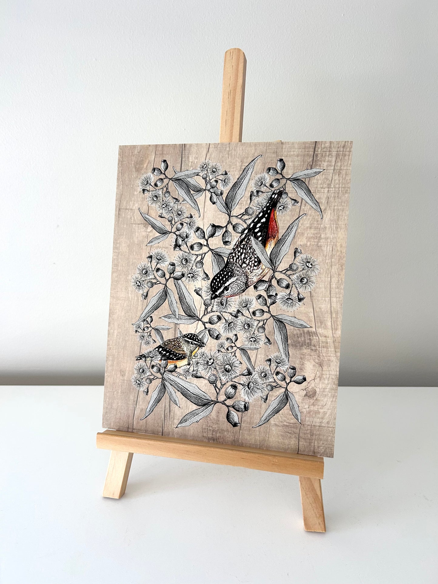 Art Print - Spotted Pardalote