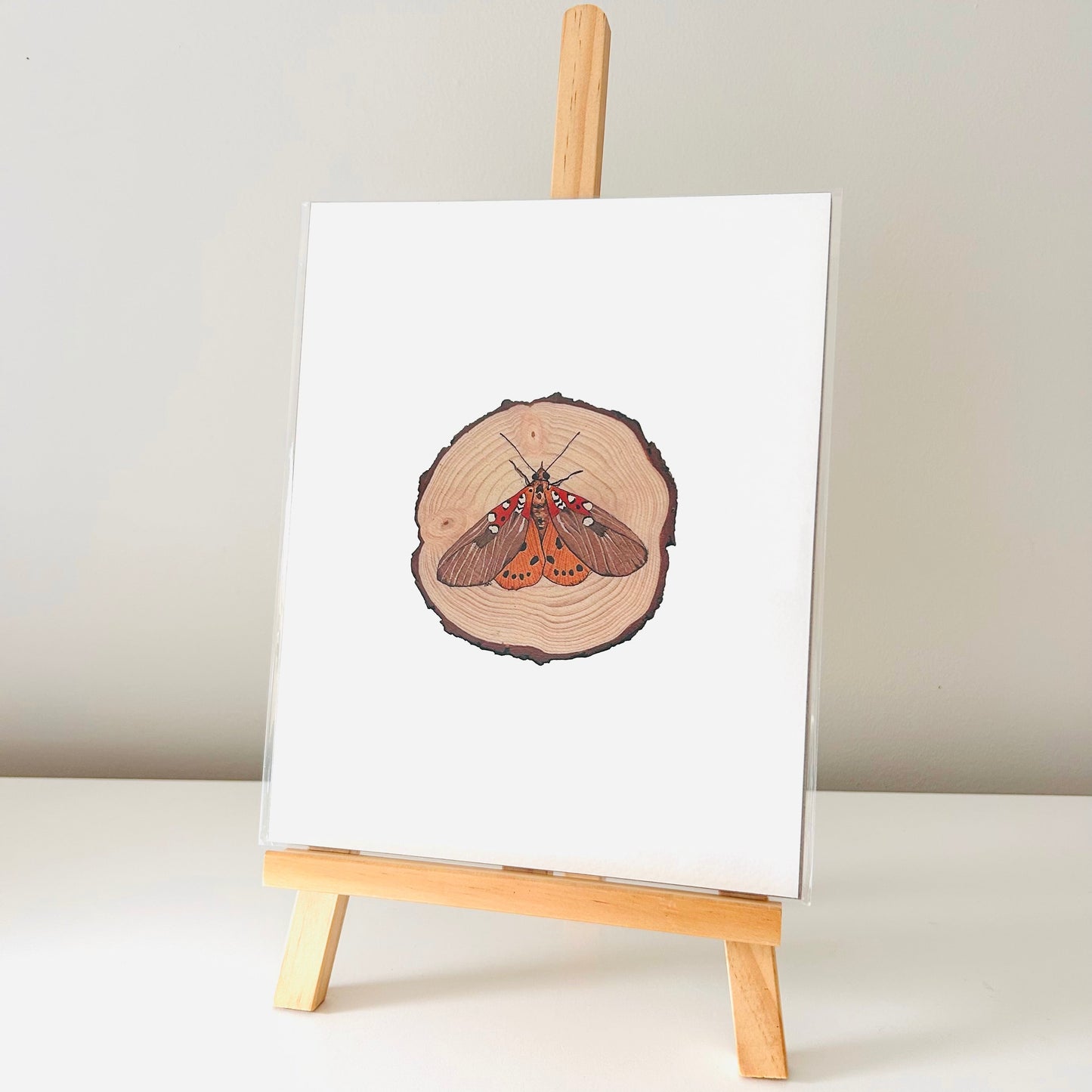 Art Print - The Pollinators Moth