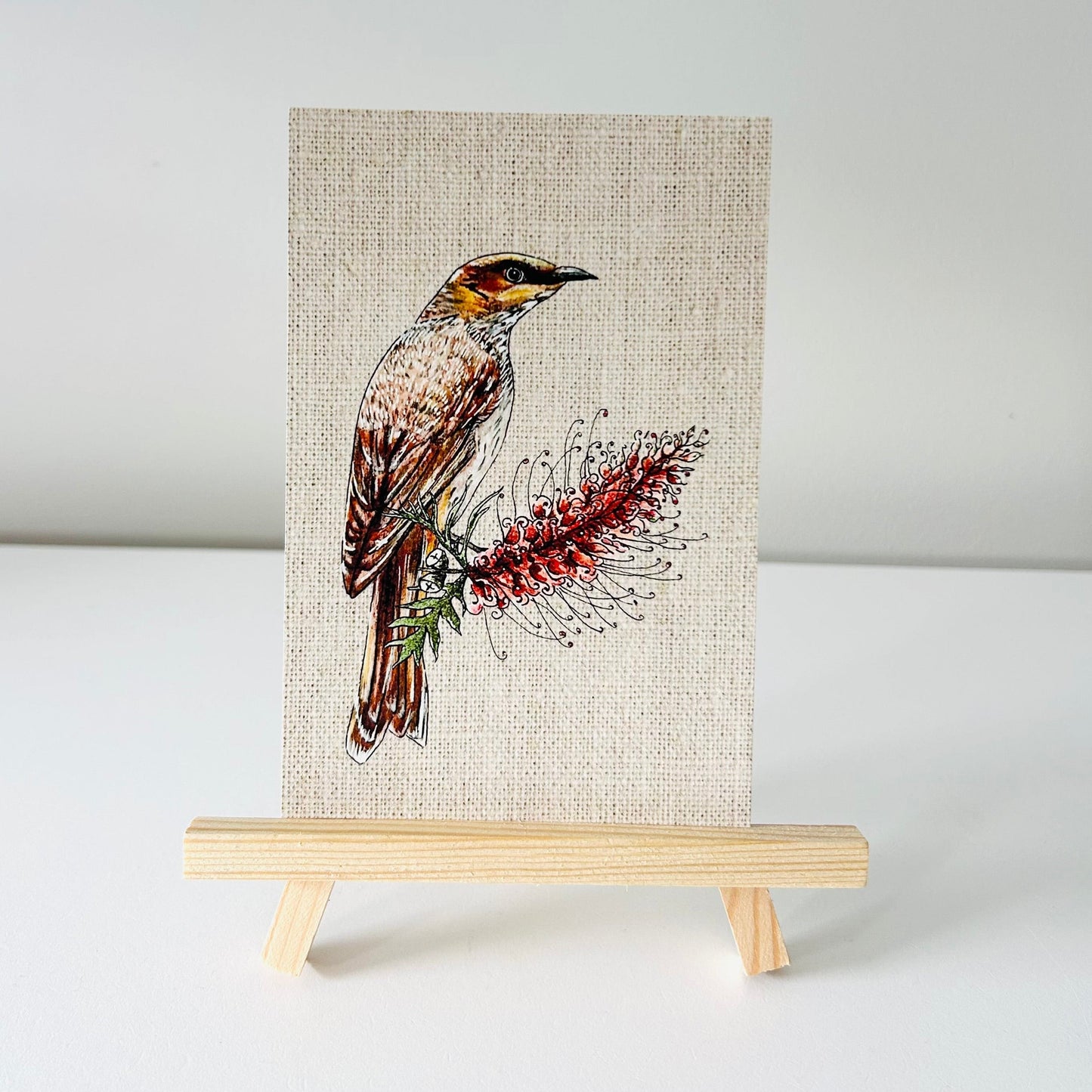 Art Print - Native Series - Wattlebird
