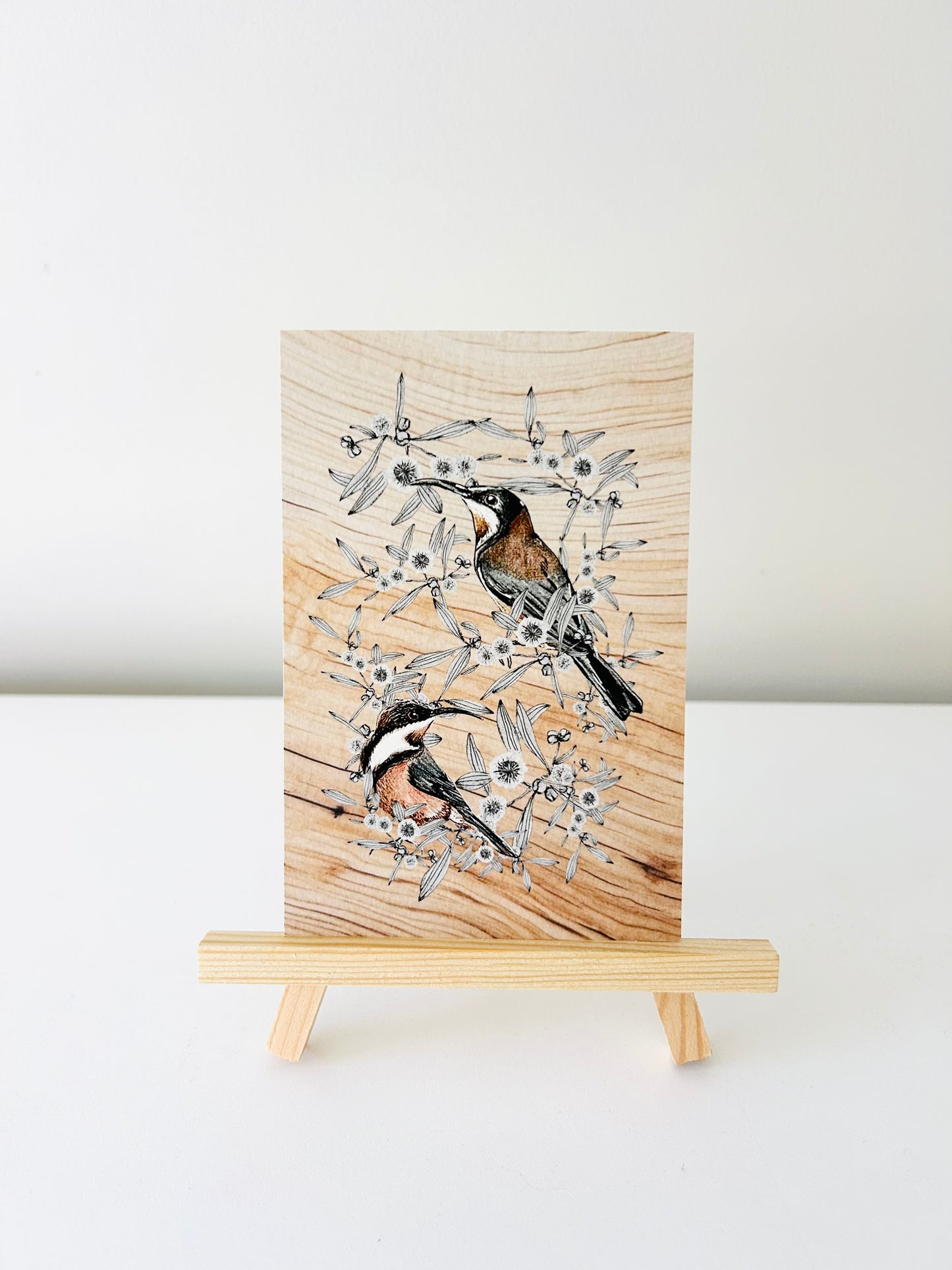 Art Print - Eastern Spinebill