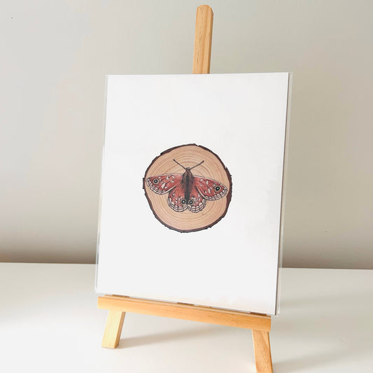 Art Print - The Pollinators Butterfly Light