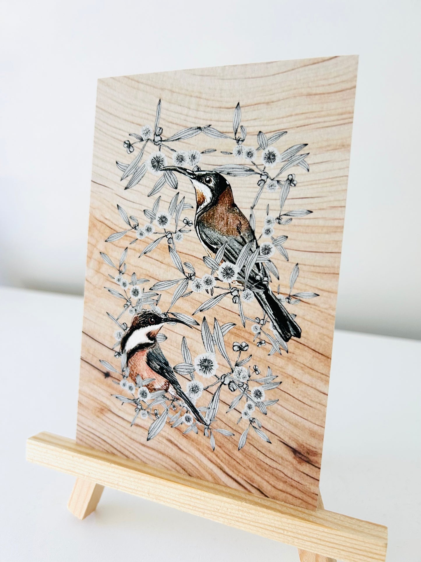 Art Print - Eastern Spinebill
