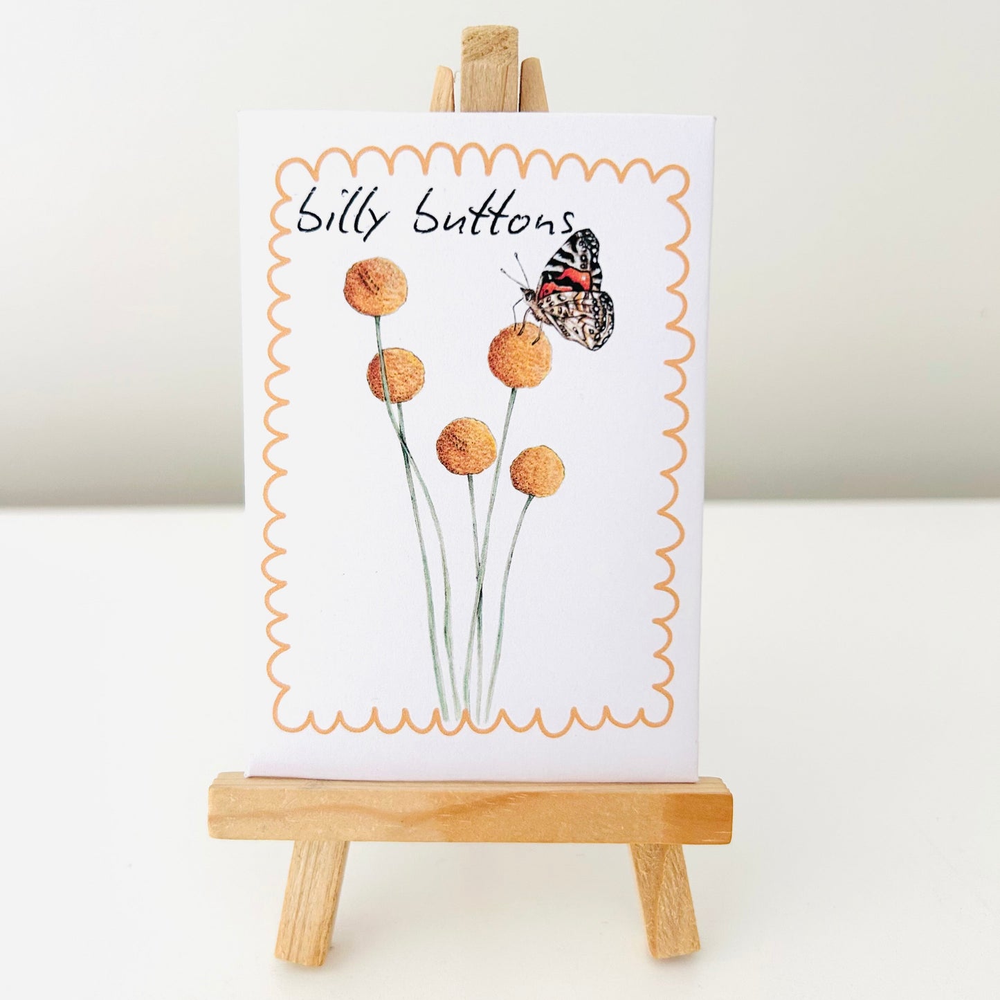 Seeds - Billy Buttons
