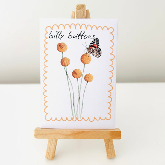 Seeds - Billy Buttons