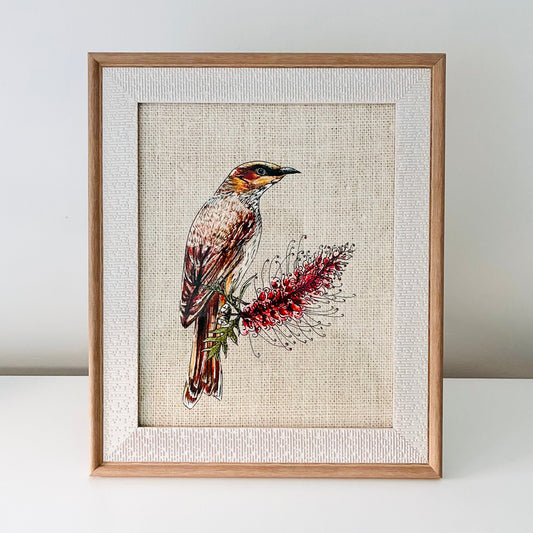 Framed Art Print - Native Series - Wattlebird