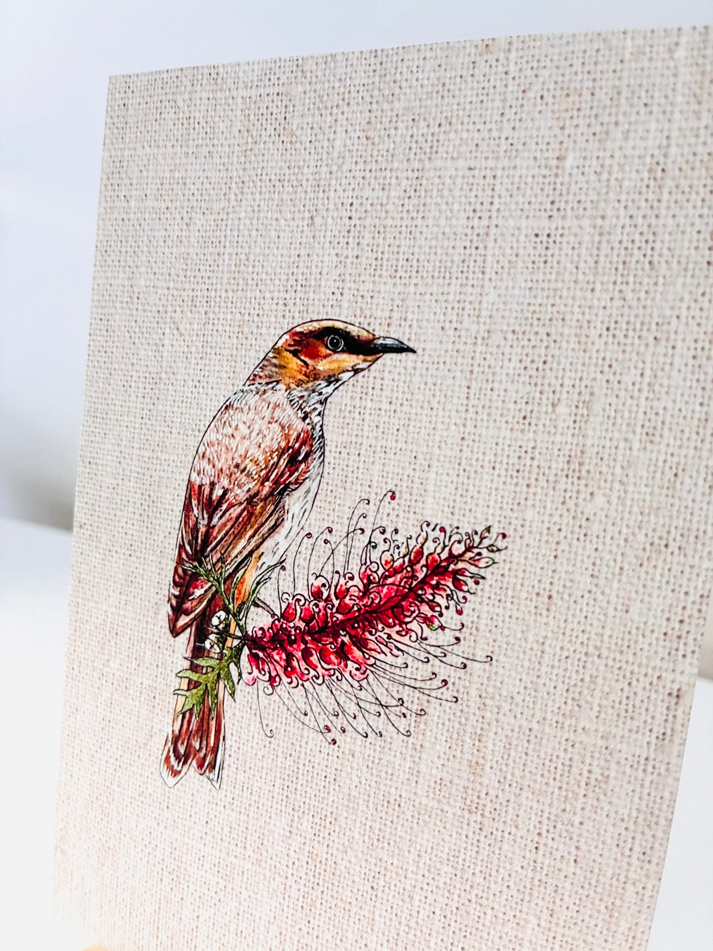 Art Print - Native Series - Wattlebird