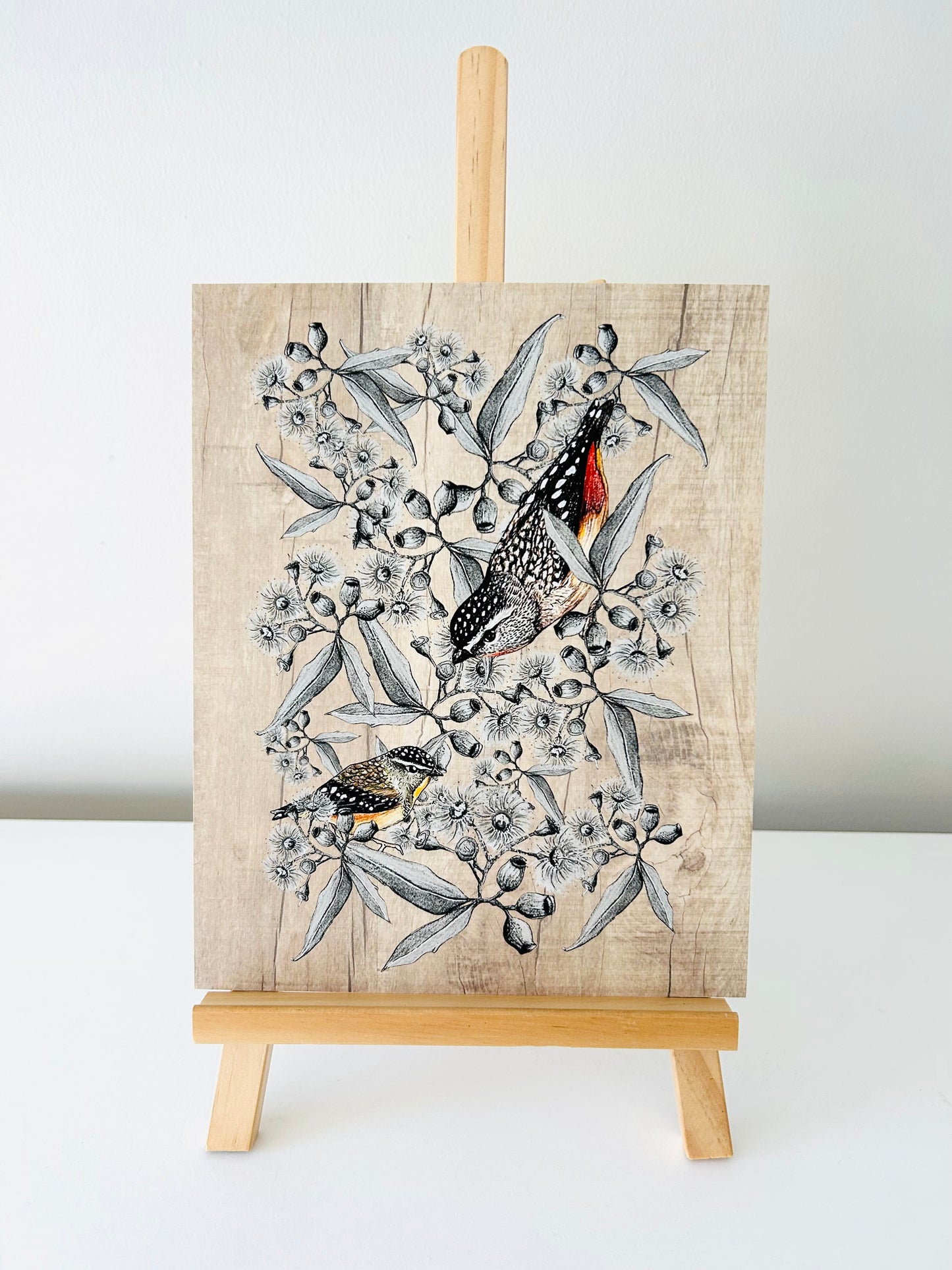 Art Print - Spotted Pardalote