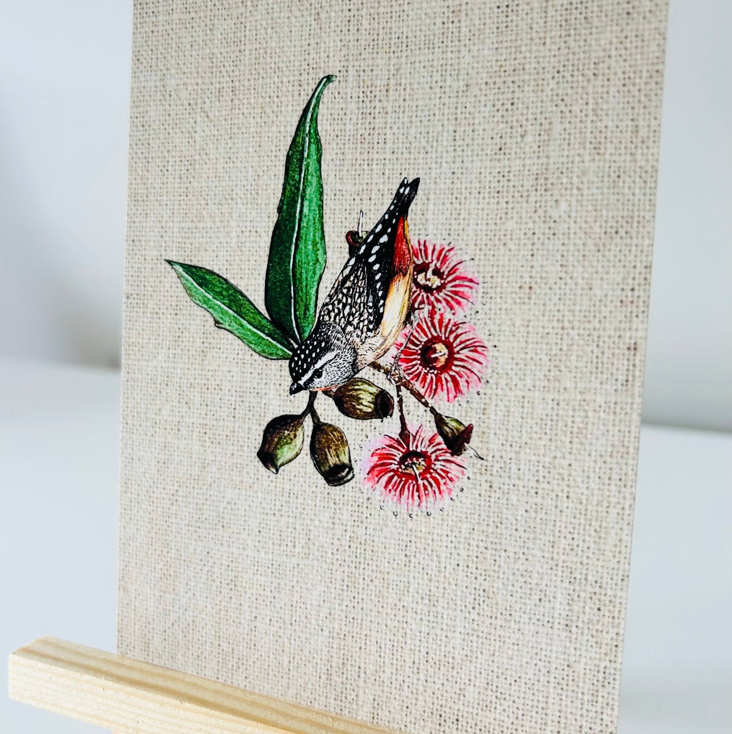 Art Print - Native Series - Spotted Pardalote