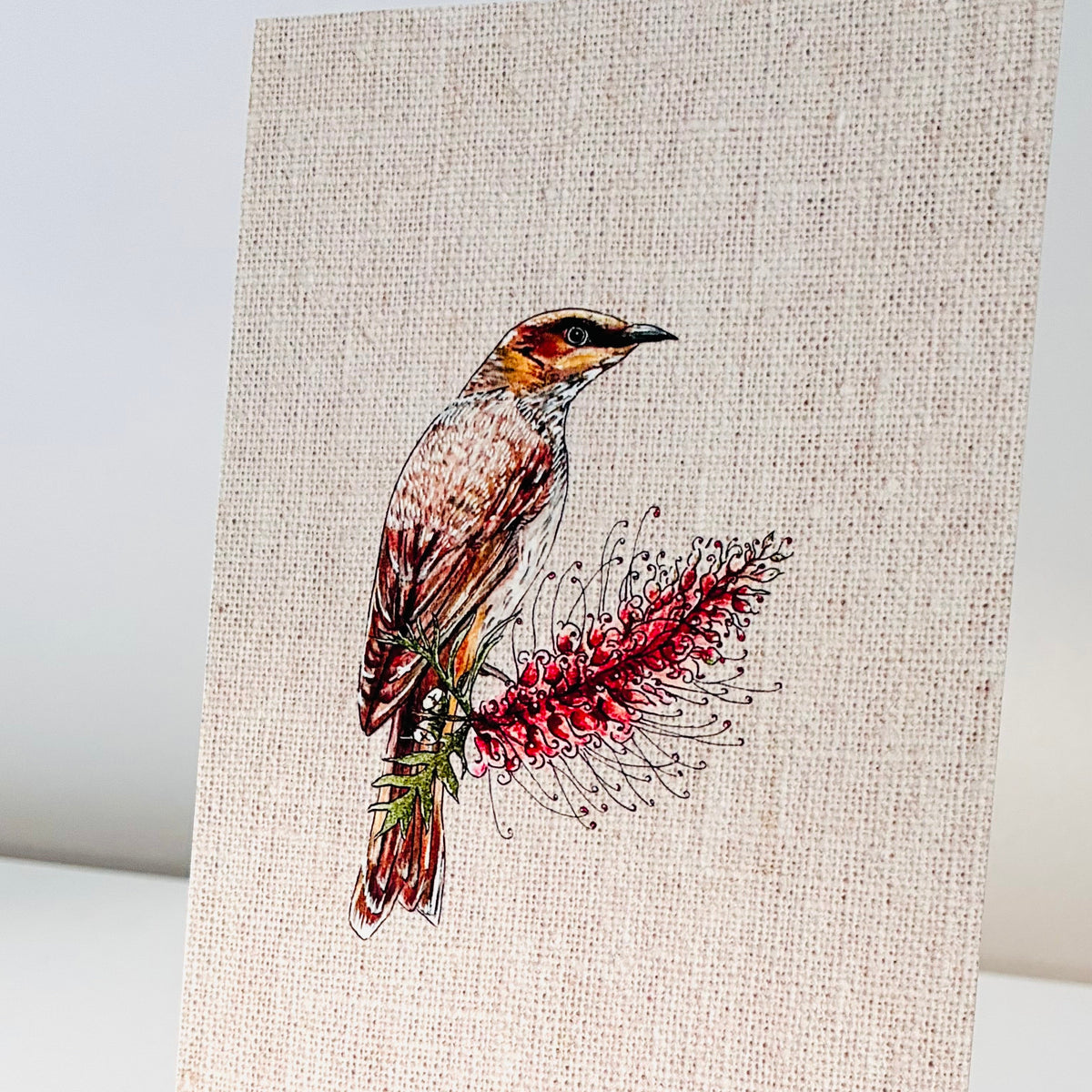 Art Print - Native Series - Wattlebird