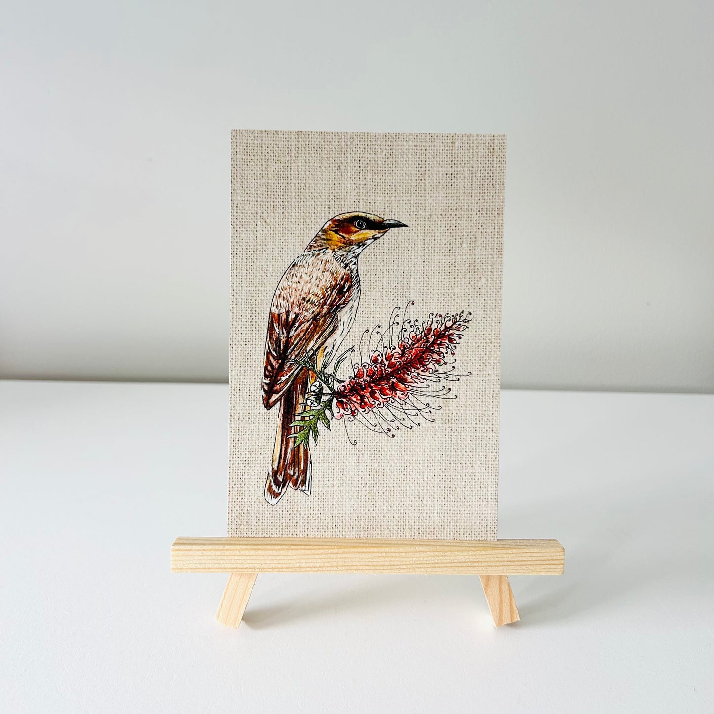 Art Print - Native Series - Wattlebird