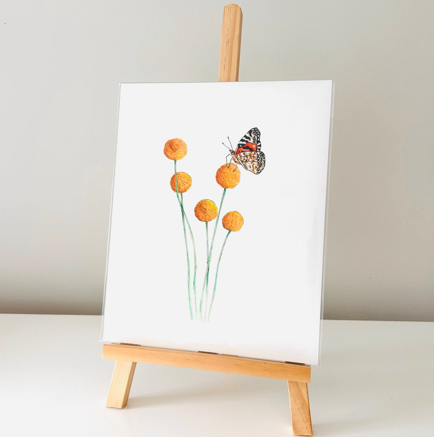 Art Print - Billy Buttons