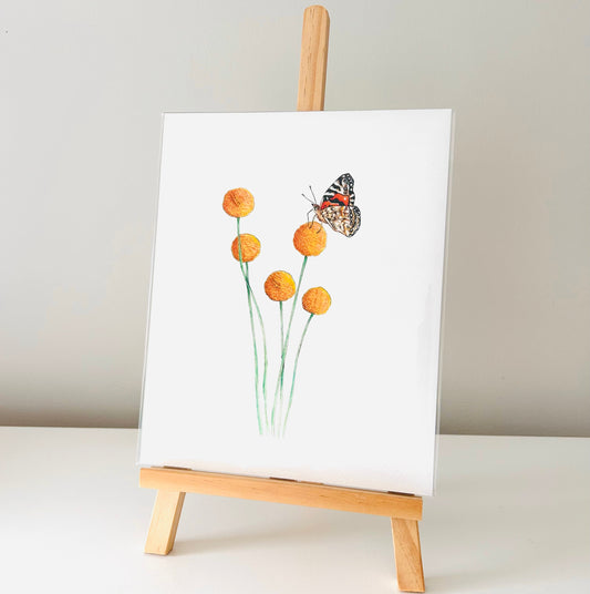 Art Print - Billy Buttons