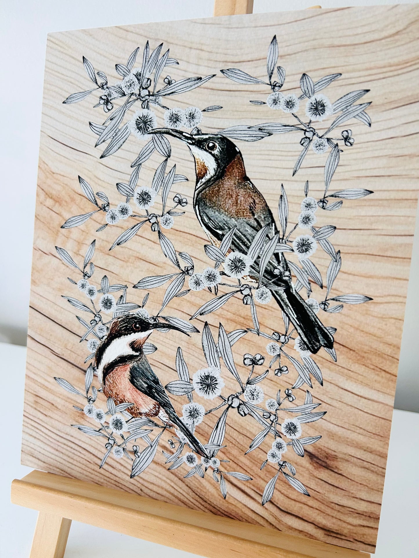 Art Print - Eastern Spinebill