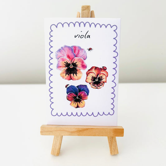 Seeds - Viola