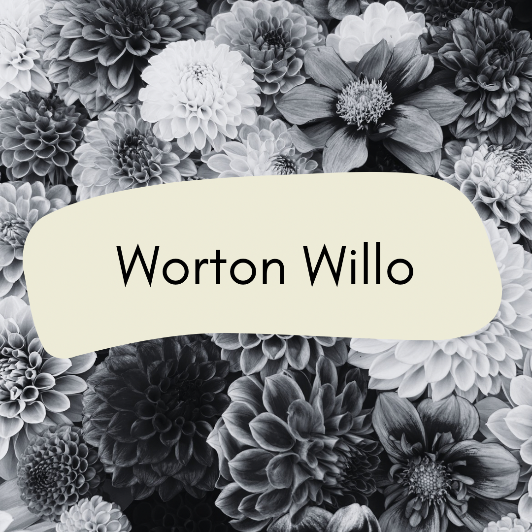 Worton Willo